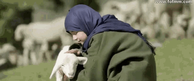 a woman in a hijab is holding a baby sheep in her lap .