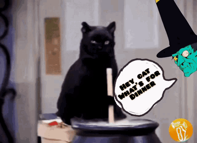 a black cat with a speech bubble that says hey cat what 's for dinner on it