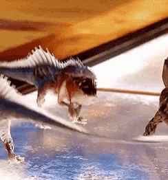 a turtle and a fish are swimming in a pool