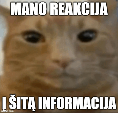 Mano Reakcija I Sita Informacija GIF - Mano Reakcija I Sita Informacija Mano Reakcija GIFs