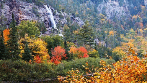 Autumn Image Water Falls GIF - Autumn Image Water Falls GIFs