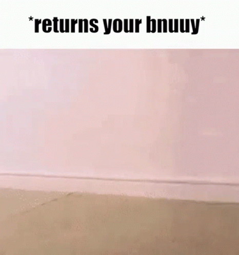 Bnuuy Bunny GIF - Bnuuy Bunny Returns Your Bunny GIFs