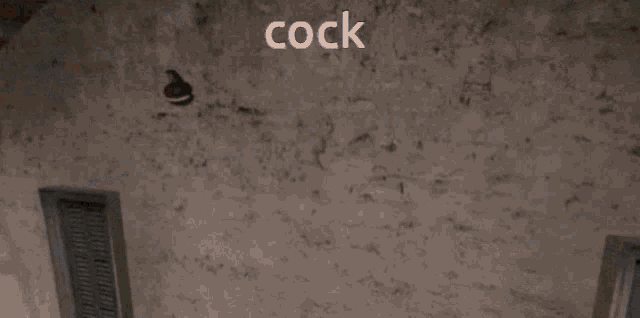 Cock Csgo GIF - Cock Csgo Video Game GIFs