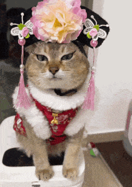 a cat wearing a flowered hat and a red dress