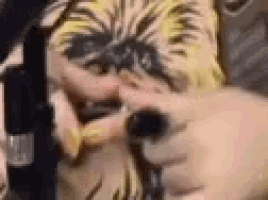 a close up of a person painting a dog 's face with a brush .
