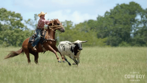 Cowgirl Ultimate Cowboy Showdown GIF - Cowgirl Ultimate Cowboy Showdown Proud Cowboy GIFs
