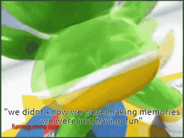 a picture of a frog with the words we did nt know we were making memories we were just having fun