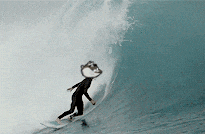 a person riding a wave on a surfboard with a dog head on it