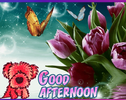 a greeting card that says good afternoon with flowers and a dog