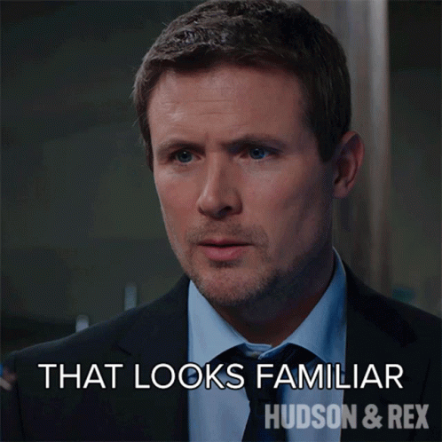 That Looks Familiar Charlie Hudson GIF - That Looks Familiar Charlie Hudson Hudson And Rex GIFs