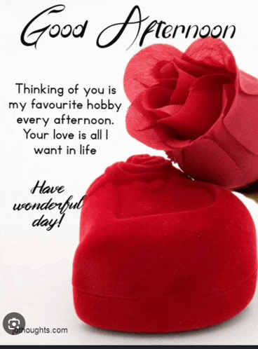 a good afternoon message with a red rose and a heart shaped box