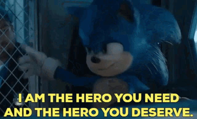 Sonic The Hedgehog I Am The Hero You Need GIF - Sonic The Hedgehog I Am The Hero You Need And The Hero You Deserve GIFs