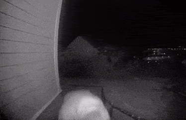 a black and white photo of a person walking down stairs in front of a house .