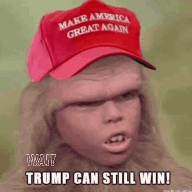 Trumpwait Stupid GIF - Trumpwait Stupid People GIFs