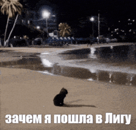 a cat sits on a sandy beach at night with russian writing