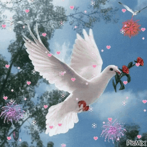 a white pigeon is flying in the sky with hearts and flowers .