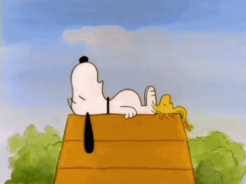 Cute GIF
