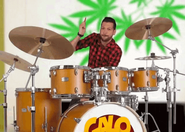 a man in a plaid shirt is playing drums with a drum set that says calo on it