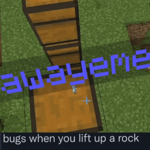 a screenshot of a video game that says bugs when you lift up a rock on it
