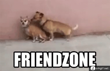 Friendzone Dogs GIF - Friendzone Dogs Mating GIFs