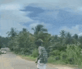 a man is riding a motorcycle down a dirt road surrounded by palm trees .