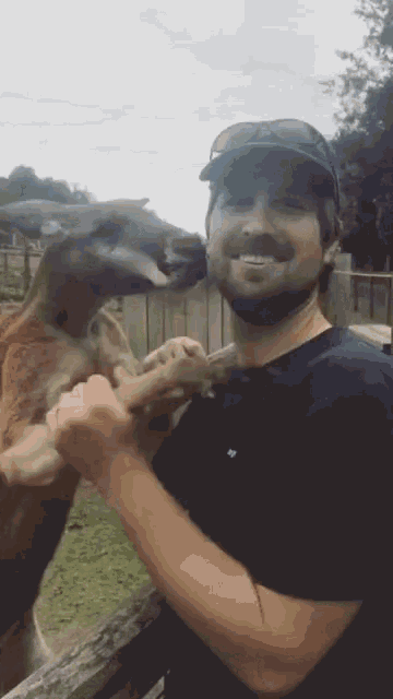 Kangaroo Animals GIF - Kangaroo Animals Hug GIFs