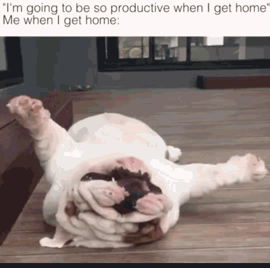Dog Tired GIF - Dog Tired Procrastinate GIFs