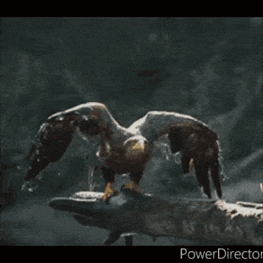 a picture of an eagle with a caption that says uugghhh