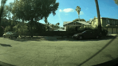a car is parked on the side of the road near a palm tree