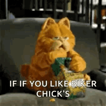 garfield is sitting on a couch eating a bag of chips and says if you like biker chick 's