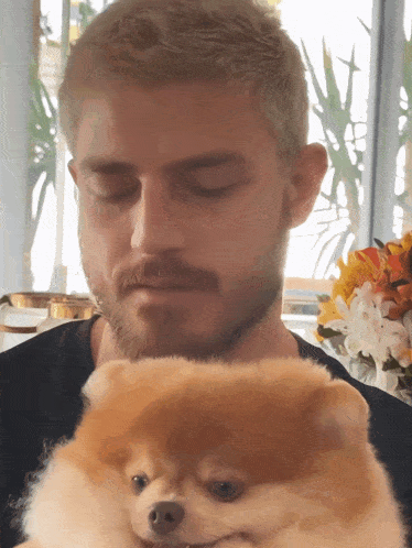 a man with a beard is holding a small brown dog