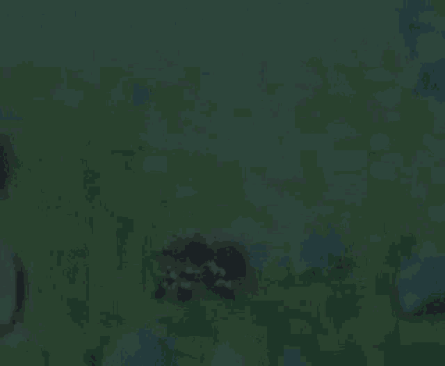 a blurred image of a field of grass with a few flowers in the background .