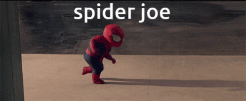 Spider Joe Joe GIF - Spider Joe Joe Hot Outside GIFs