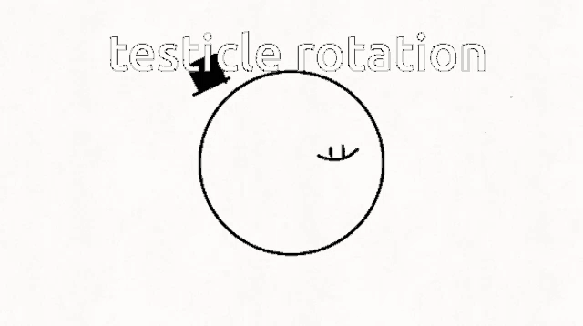 a black and white drawing of a circle with the words testicle rotation written on it