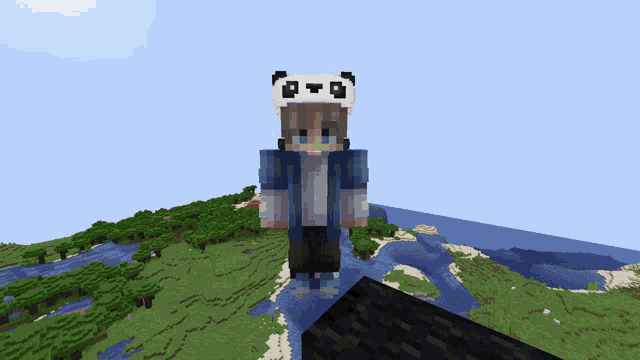 a minecraft character wearing a panda hat is standing on a rock