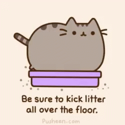 Cat Litter GIF