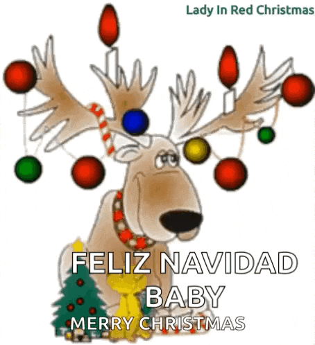 a reindeer with christmas decorations on its antlers and the words lady in red christmas