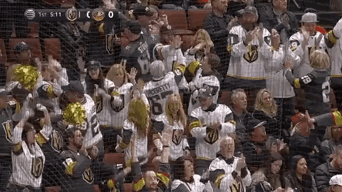 a hockey game is being played in a stadium with a score of 1-0