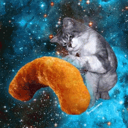 Cat Space GIF - Cat Space Cheeto GIFs