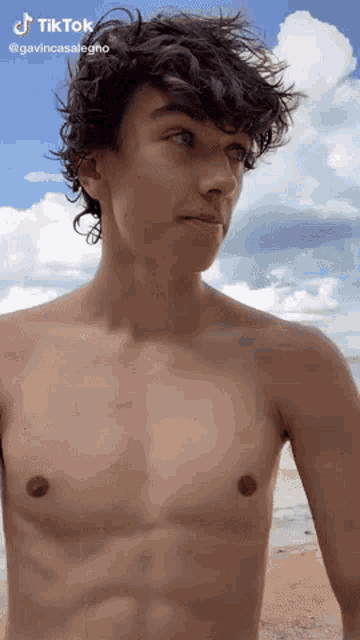 a shirtless man with curly hair is standing on a beach .