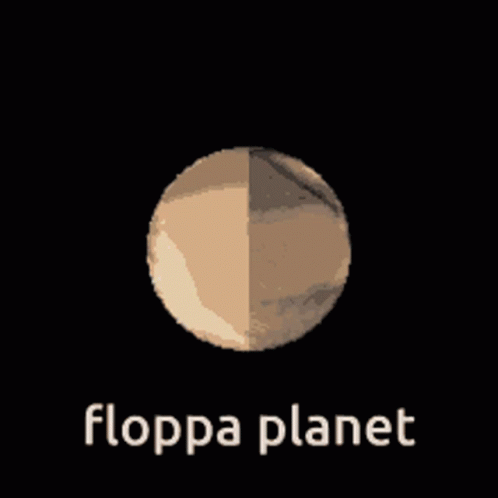 Floppa GIF