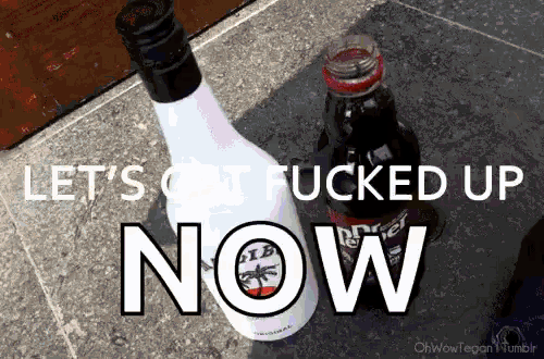 a bottle of liquor next to a bottle of diet coke with the words let 's get fucked up now
