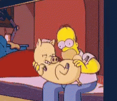 Homero Y Cerdo Besos GIF - Cerdo Marrano Homero GIFs