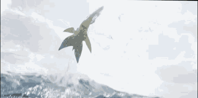 a dolphin is jumping out of the water and flying in the sky .