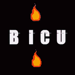 a pixel art of the word bitch with two flames behind it