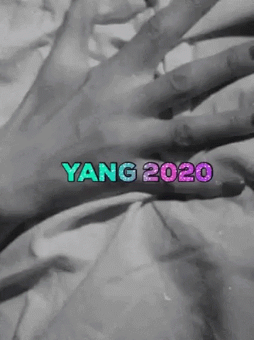 Andrew Yang Yang Gang GIF - Andrew Yang Yang Gang Yang2020 GIFs