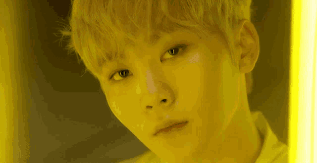 a young man with blonde hair is looking at the camera