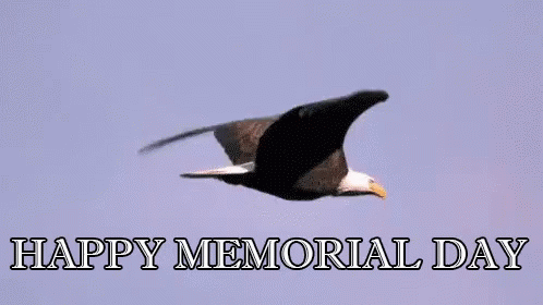 Happy Memorial Day Memorialday GIF - Bald Eagle Memorial Day GIFs