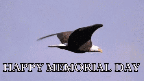 a bald eagle is flying in a blue sky with the words happy memorial day written below it .