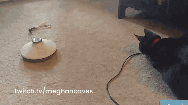 Meghan Caves Twitch GIF - Meghan Caves Twitch Streamer GIFs